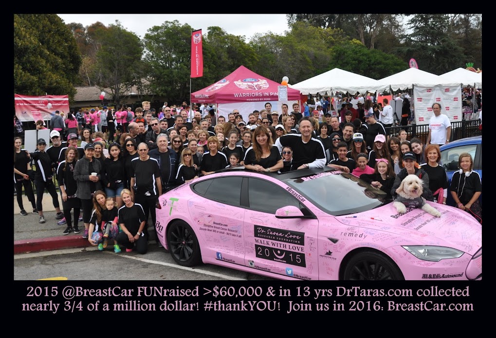 BreastCar FunRaised 2015-Walk with love